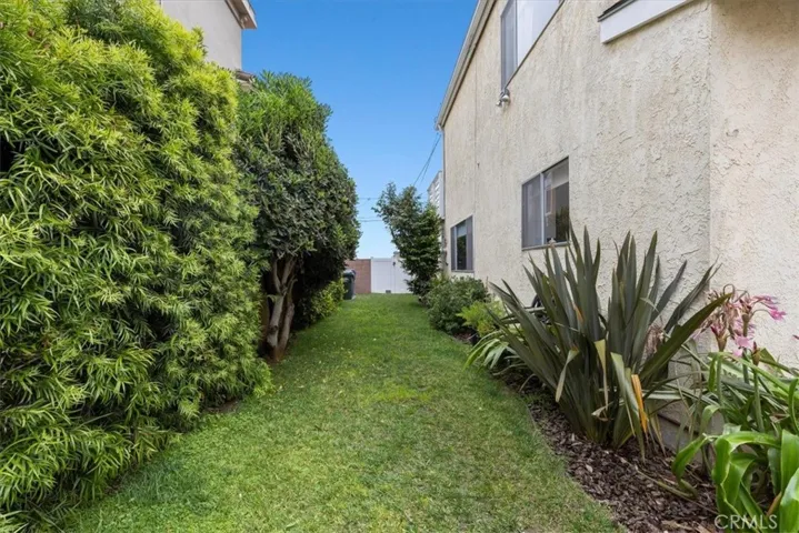 Grassy sideyard