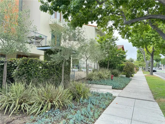 Walk way landscape