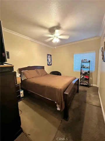 Bedroom No 3