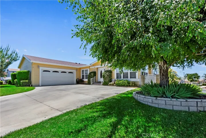 Front Yard Shade Tree