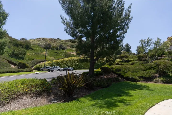 8070 E Desert Pine Drive, Anaheim Hills, California 92808