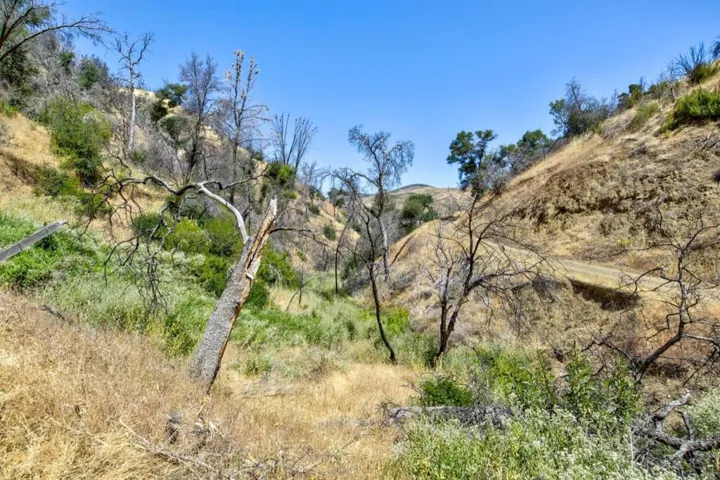 14600 Del Puerto Canyon Road, Newman, California 95360