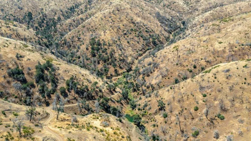 14600 Del Puerto Canyon Road, Newman, California 95360