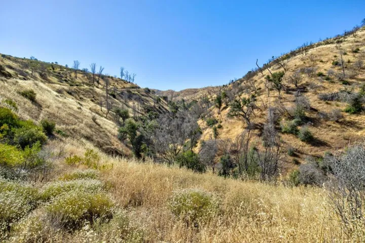 14600 Del Puerto Canyon Road, Newman, California 95360