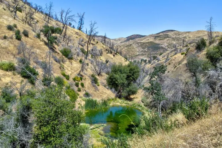 14600 Del Puerto Canyon Road, Newman, California 95360
