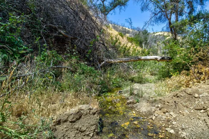 14600 Del Puerto Canyon Road, Newman, California 95360