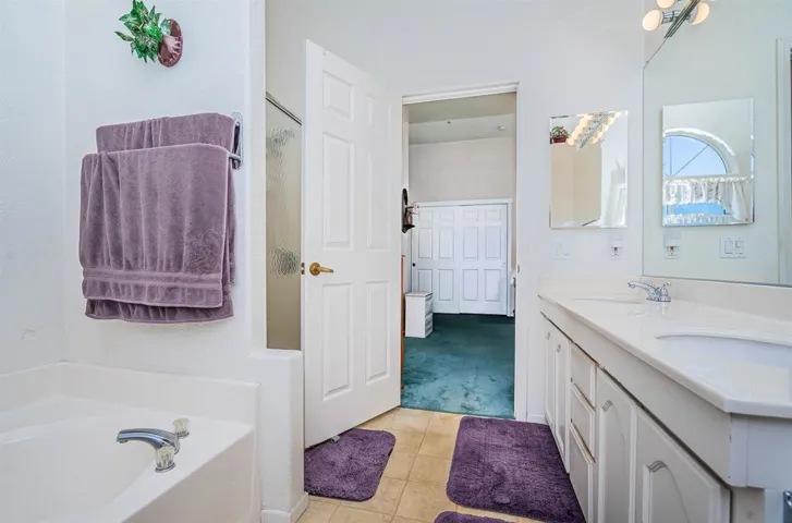 Primary Bath/Spa