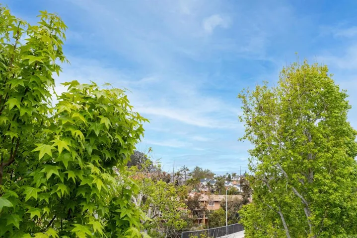 3920 Voltaire Street, San Diego, California 92107