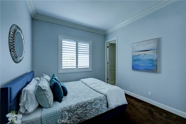 Downstairs ensuite bedroom with carpeted flooring and shutters on the window.