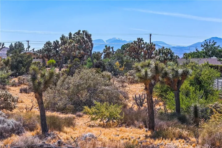 7976 Joshua Lane, Yucca Valley, California 92284