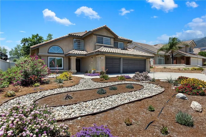 Xeriscape Front Yard