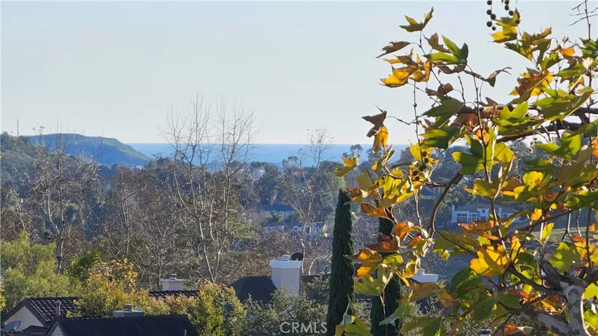 61 Bedstraw Loop, Ladera Ranch, California 92694