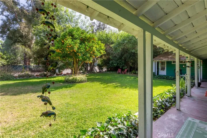 large yard with orange tree