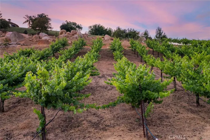 38280 Via Majorca, Murrieta, California 92562