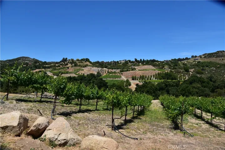 38280 Via Majorca, Murrieta, California 92562