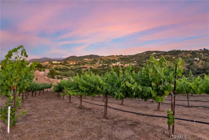 38280 Via Majorca, Murrieta, California 92562