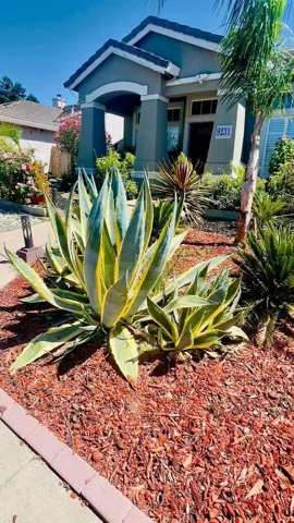 9231 Edisto Way, Elk Grove, California 95758