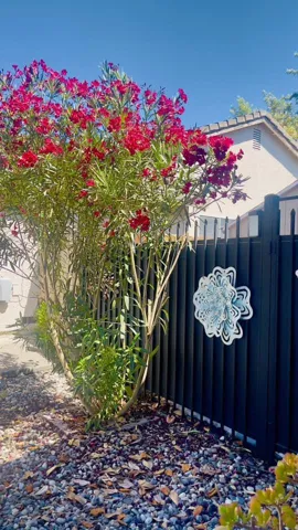 9231 Edisto Way, Elk Grove, California 95758
