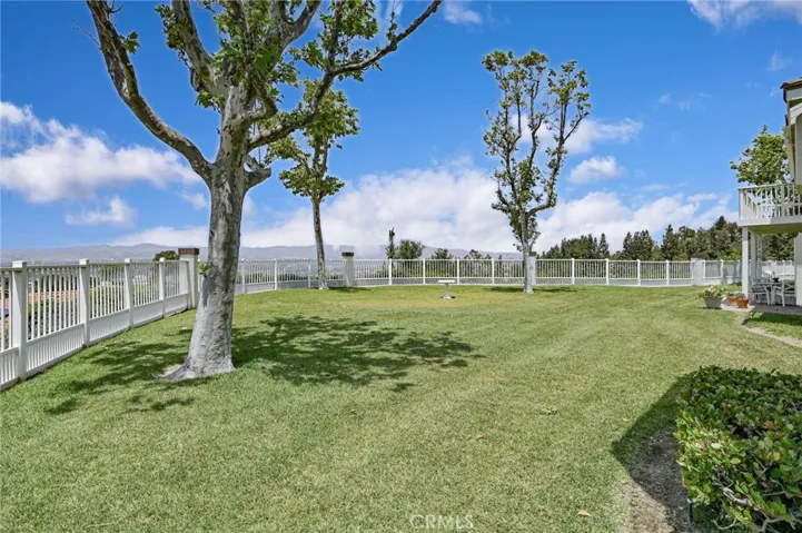 Rear Grass Area