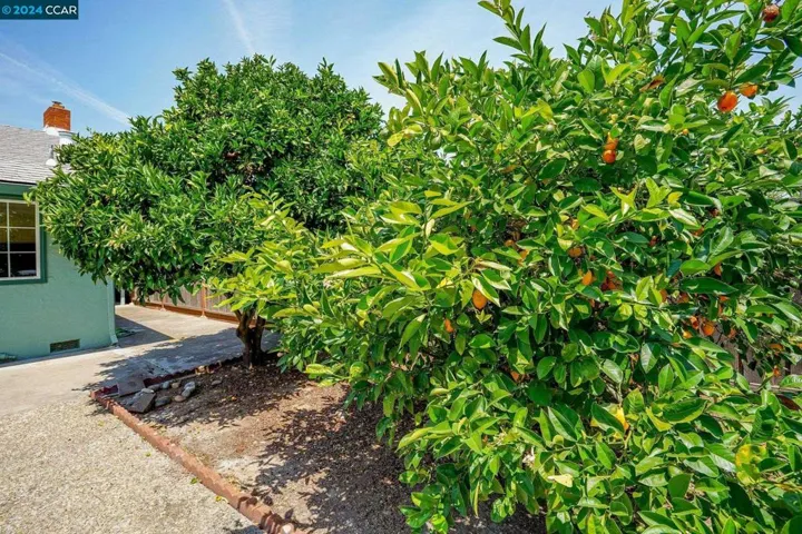 2130 Knollwood Drive, Martinez, California 94553