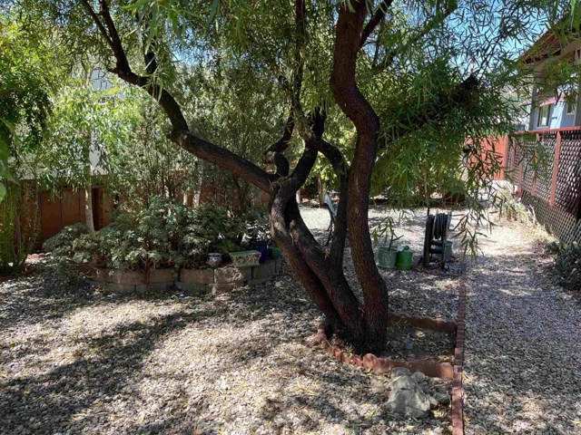 1299 Deer Springs Road 1, San Marcos, California 92069