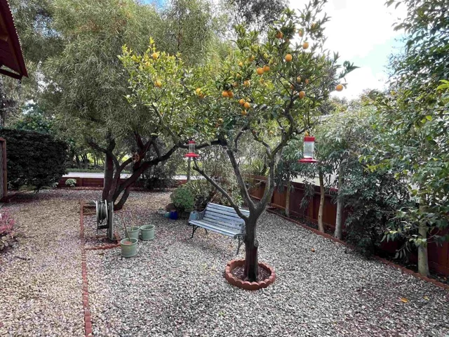 1299 Deer Springs Road 1, San Marcos, California 92069