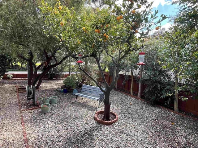 1299 Deer Springs Road 1, San Marcos, California 92069