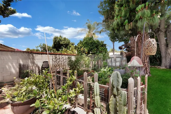garden