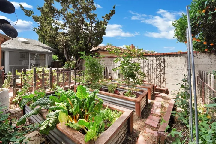 backyard garden