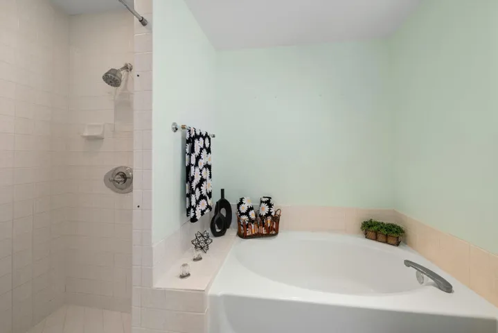 Primary Bath's Soaker Tub