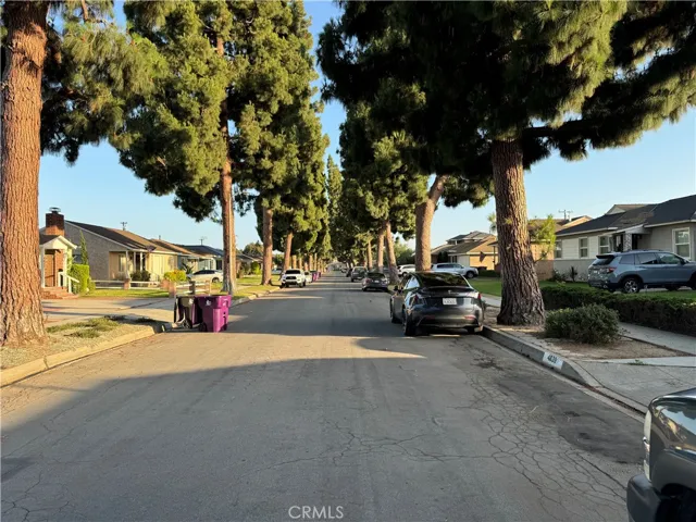 Tree lined street