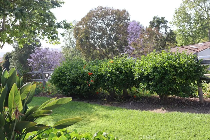 3201 Via Buena C, Laguna Woods, California 92637
