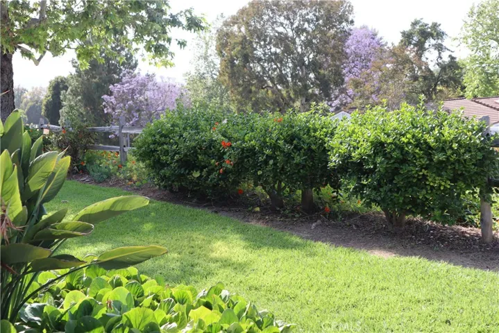 3201 Via Buena C, Laguna Woods, California 92637