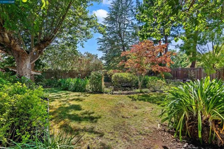1028 El Capitan Dr, Danville, California 94526