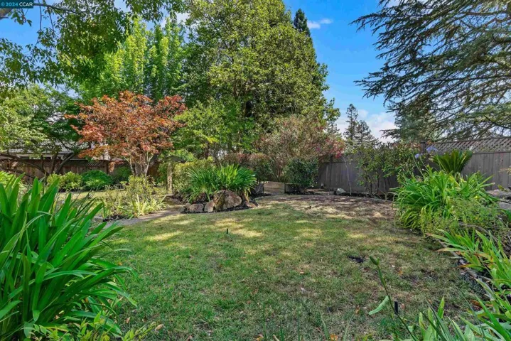 1028 El Capitan Dr, Danville, California 94526