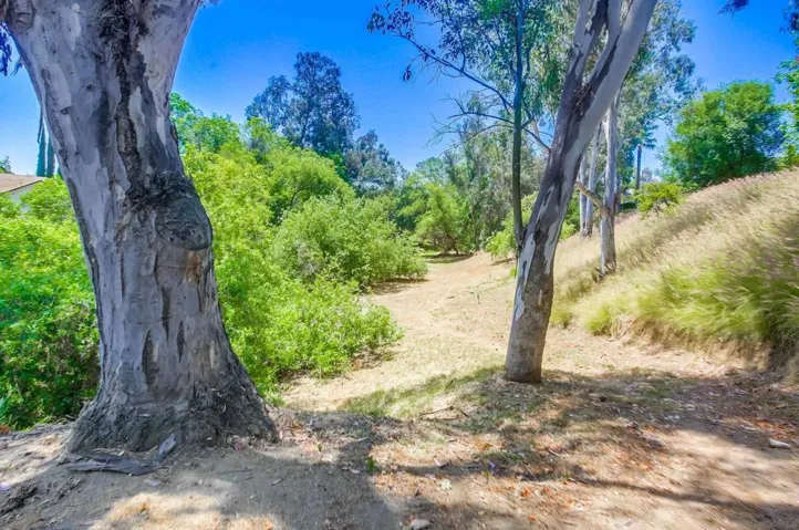 1113 Harvest Lane, Vista, California 92081