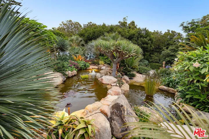 Koi pond
