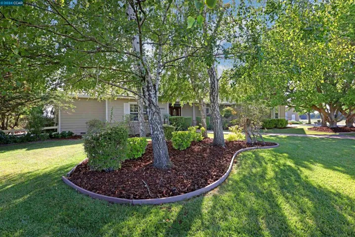 6840 Balfour Rd, Brentwood, California 94513