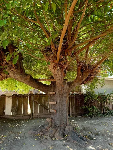 137 W Laura Avenue, Visalia, California 93277