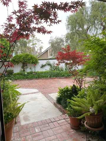 Looking out the front door