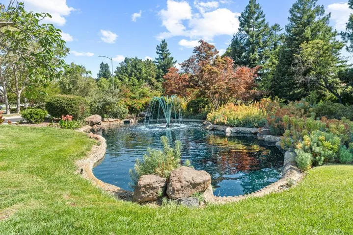 11701 Timber Spring Court, Cupertino, California 95014