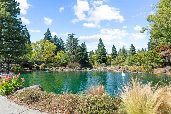 11701 Timber Spring Court, Cupertino, California 95014