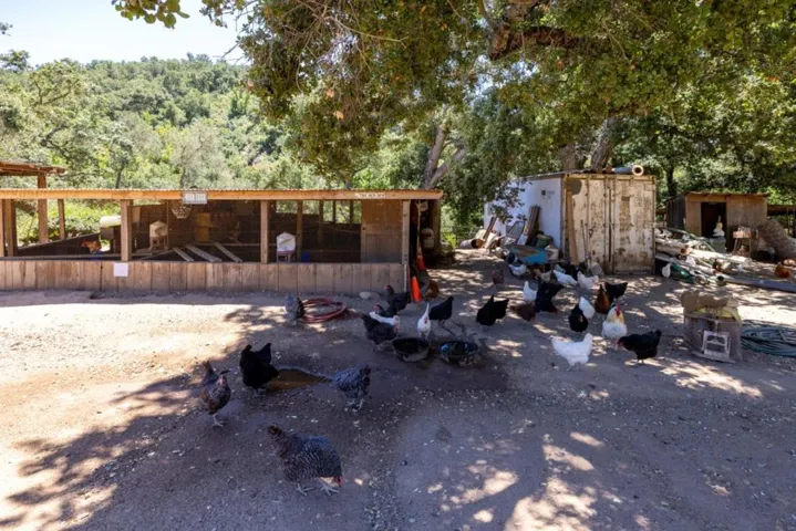 20215 Cachagua Road, Carmel Valley, California 93924