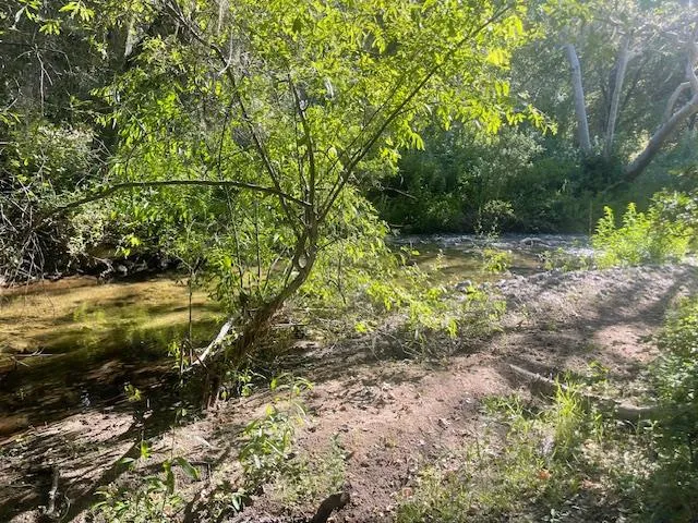 20215 Cachagua Road, Carmel Valley, California 93924