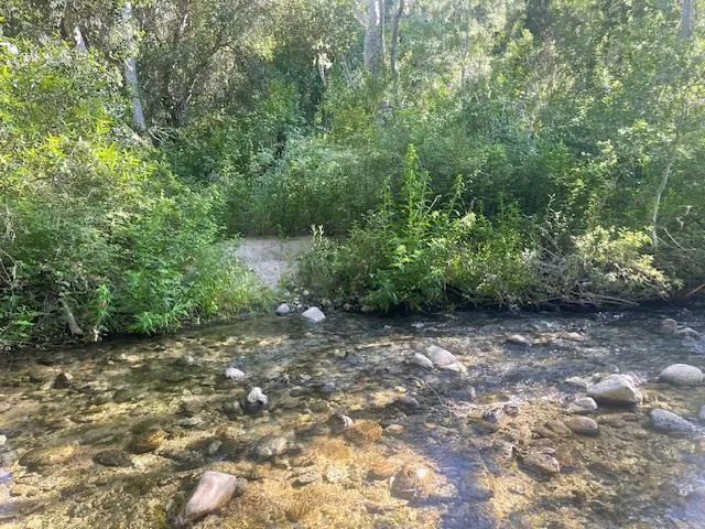 20215 Cachagua Road, Carmel Valley, California 93924