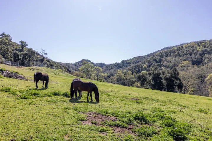 20215 Cachagua Road, Carmel Valley, California 93924