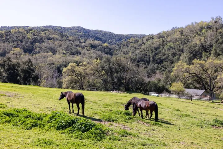 20215 Cachagua Road, Carmel Valley, California 93924