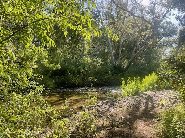 20215 Cachagua Road, Carmel Valley, California 93924