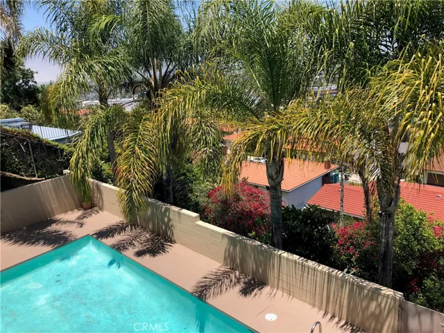 Pool and patio!