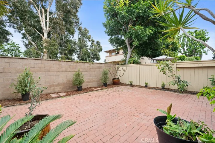 Backyard 1